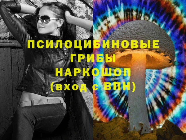 каннабис Новокубанск