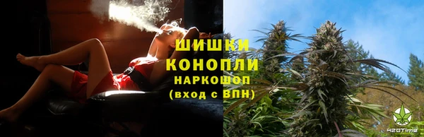 PSILOCYBIN Новодвинск