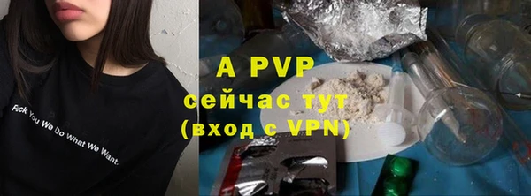 марки lsd Новозыбков