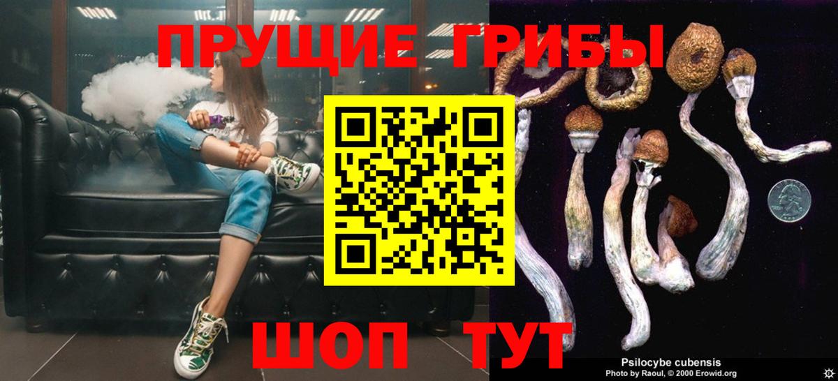 купить   Псилоцибиновые грибы Psilocybine cubensis  Вход с VPN  Тейково 